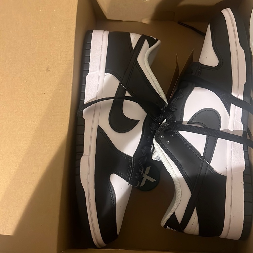 Nike dunk low panda
